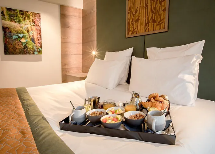 Hotel Rivage Hôtel&spa Annecy